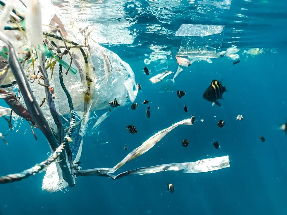Fussy обявява участие в 1% for the Planet